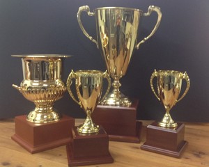 Old Bank Gallery Pic 2 - Trophies