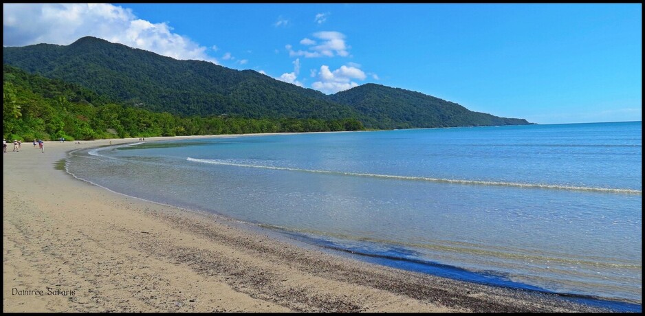 Daintree Safaris Pic 2