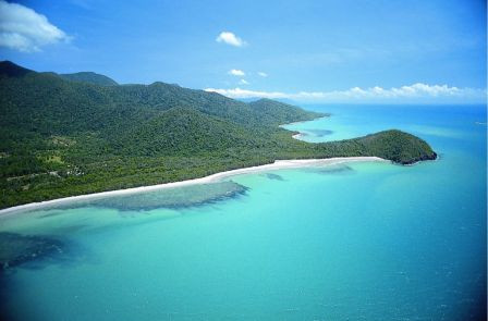 Daintree Safaris Pic 1 - The Oldest Rainforest on Earth