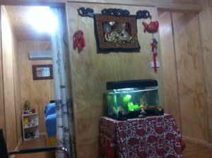 Glenrochy Chinese Remedial Massage Pic 3 - fish tank