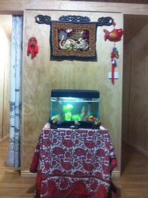 Glenrochy Chinese Remedial Massage Pic 4 - fish tank