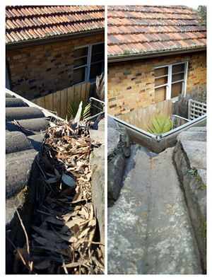 Spotless Gutter Cleaning Pic 5 - Before After Brighton