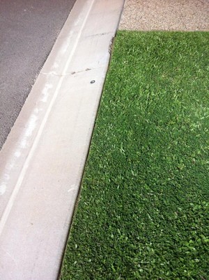 Priceless lawn and garden care Pic 2 - Edging