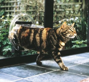 Purrfect Pet Doors Pic 3 - Transcat Cat Door into glass