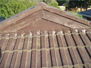 Advanced Roof Care Pic 3 - Before restoration