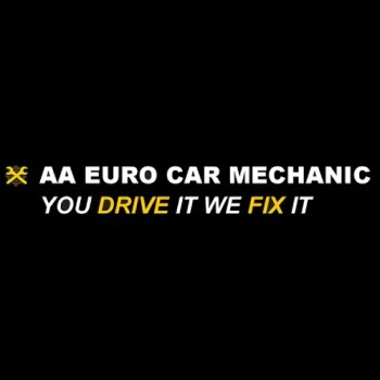 AA Euro Car Mechanic Pic 1