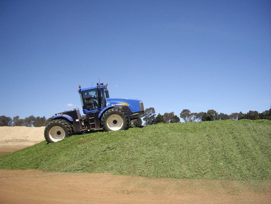 Princess Royal Station Pic 1 - Silage season 2015