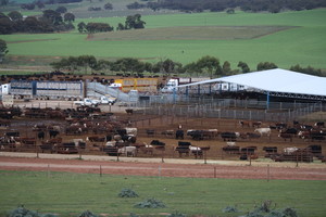 Princess Royal Station Pic 2 - Princess Royal yards