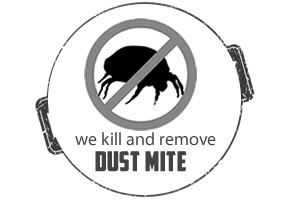 Revive Carpet Cleaning Pic 5 - Revive Carpet Cleaning We Kill and Remove DUSTMITE