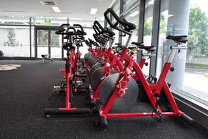 Aussie Gym Equipment Pic 5