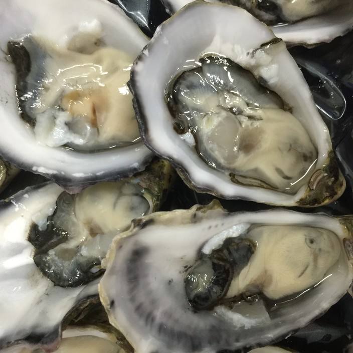 Noosa Seafood Market Pic 1 - Fresh Coffin Bay Oysters