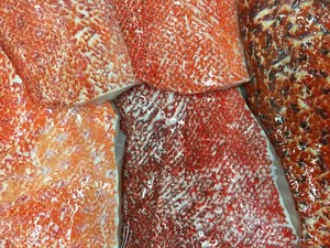 Noosa Seafood Market Pic 2 - Fresh Coral Trout Fillets