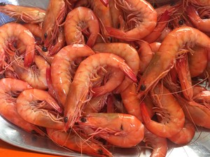 Noosa Seafood Market Pic 4 - Mooloolaba Ocean King Prawns