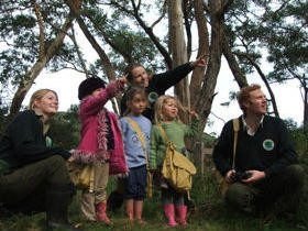 The Cape Otway Centre For Conservation Ecology Pic 1 - Watching koalas at Cape Otway