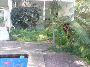 Cowden Lawn and Property Maintenance Pic 4 - avalon garden make over