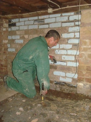 Pestworks Net Australia Pty Ltd Pic 3 - we inspect the entire house to make sure your pest free