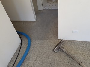 P.J' s Carpet Care Pic 3 - Rental cleaning a specialty