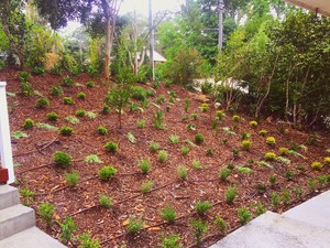 GardenForce Landscaping & Design Pic 5