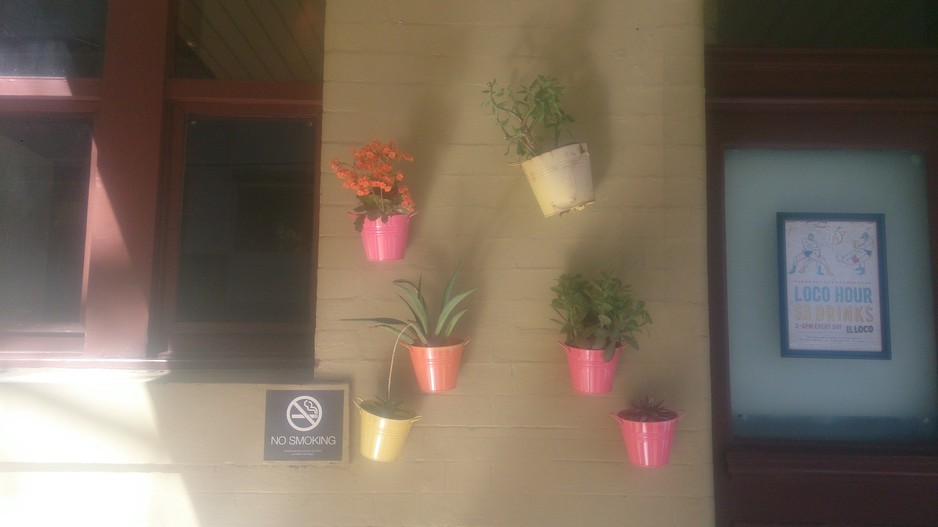 Excelsior Hotel Pic 1 - Cool Pot Plants