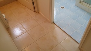 Nice n Clean Pic 3 - After changing the grout from cement to Oak in colour grout will not stain