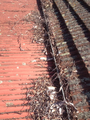 Andrew's Gutter Cleaning Pic 4 - Gutters BEFORE