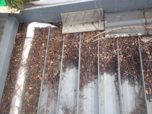 Andrew's Gutter Cleaning Pic 2 - Gutters BEFORE