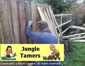 Jungle Tamers Pic 2 - fencing job