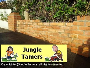 Jungle Tamers Pic 3 - brick wall