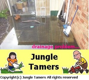 Jungle Tamers Pic 4 - drainage job