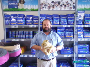 Puppyworld Pic 3 - puppyworld owner and manager vet dylan atkinson pet shop puppies underwood logan brisbane