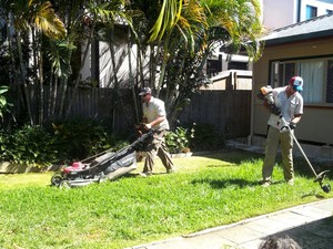 Preferred Lawnmowing Pic 3 - Gold Coast Lawn Care