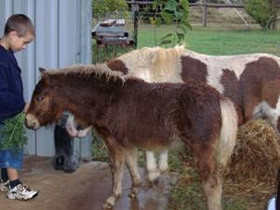 Lee Farmstay Cottage Pic 1 - Lee Farmstay Kingaroy