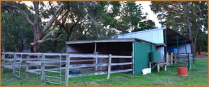 Langwarrin Bed & Breakfast Pic 2 - A bonus for anyone travelling with horsess Stable loose boxes Small paddock nearby for easy access