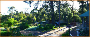 Langwarrin Bed & Breakfast Pic 4 - This restored original home is one bedroom fully self contained and set on an acreage