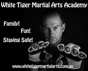 White Tiger Martial Arts Academy Pic 2 - Drop in and check us out