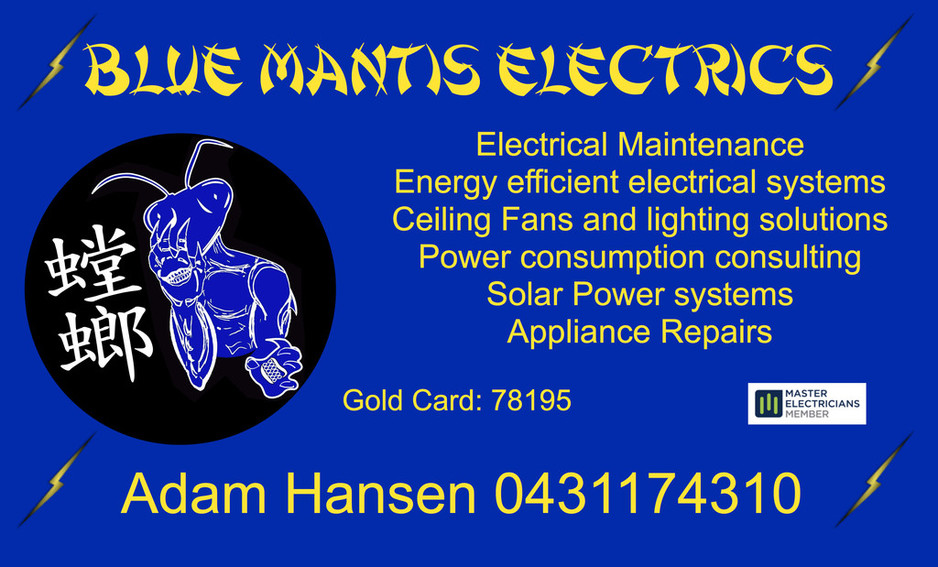 Blue Mantis Electrics Pic 1