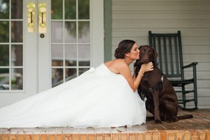 Wedding Paws Pic 2