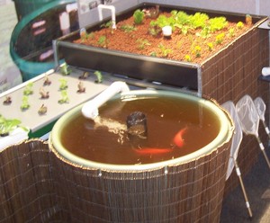 #1Aquaponics Pic 4 - adelaide show system