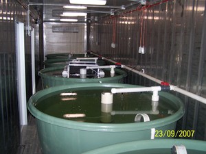 #1Aquaponics Pic 5