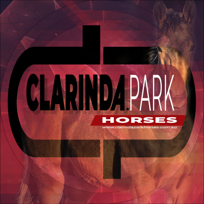 Clarinda Park Horses Pic 1