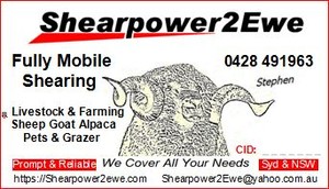 Shearpower2ewe Mobile Shearing Pic 4 - Shearpower2ewe Business Card