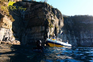 Go Dive Pic 5 - Freediving the Tasman Peninsula