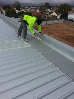 Leafshield Pic 2 - Experienced tradesperson at work