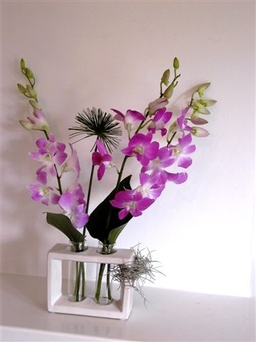 D-vine Flowers by Jo Reid Floral Designer Pic 1 - speciality container 65