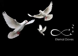 Eternal Doves Pic 5