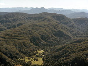 The Channon Village Campground Pic 4 - Terania Creek valley and the World Heritage Nightcap National Park with Mt Warning on the horizon