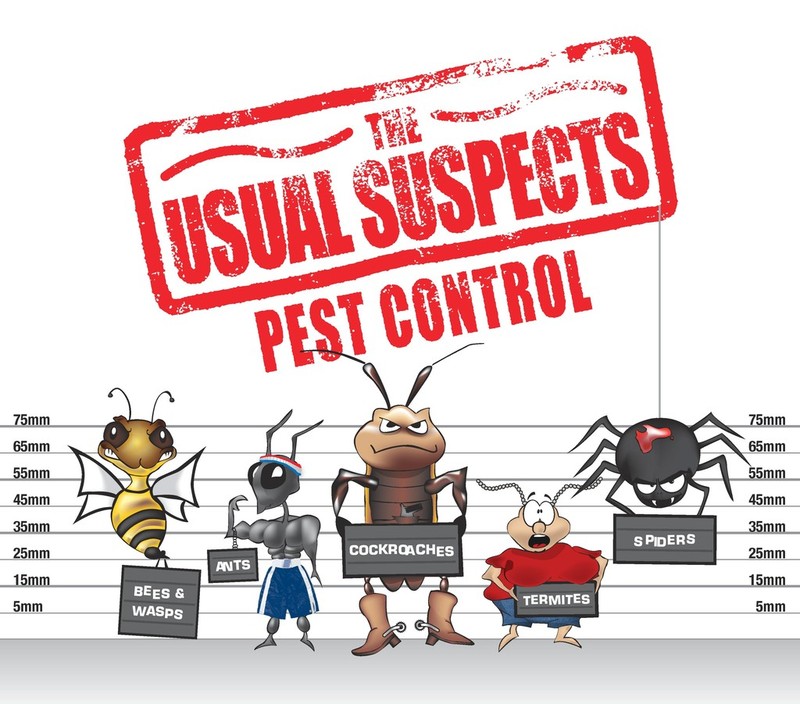 The Usual Suspects Pest Control Pic 1