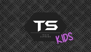 Train Supreme Personal Training Pic 2 - TS Kids one on one and group classes for children Set in a non competitive team work atmosphere for children of all ages and abilities