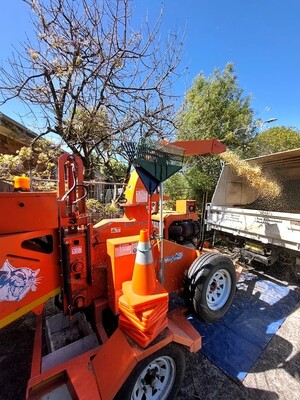 Arborsolve Tree Services Pic 5