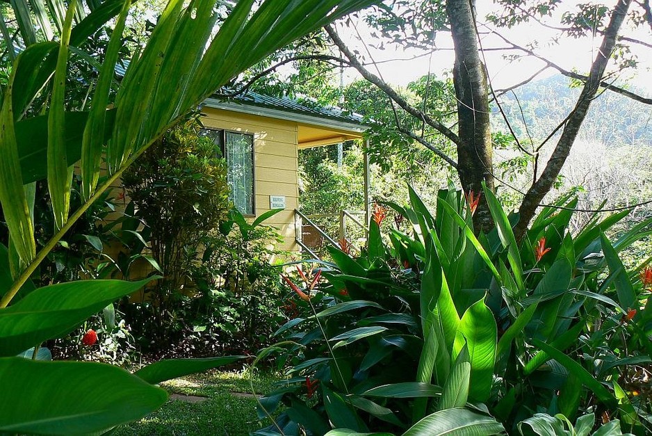 Daintree Valley Haven Pic 1 - Daintree Valley Haven Birdwing Bungalow